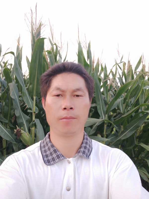 四海游龙的第一张照片--日照相亲服务中心