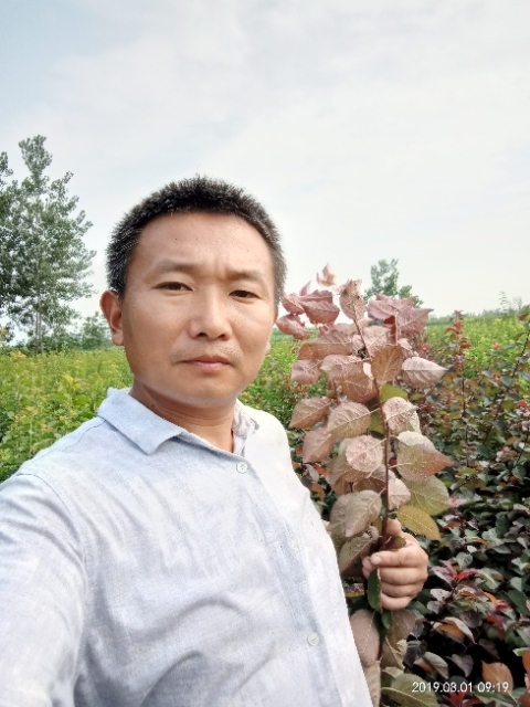 孩子爸的第二张照片--日照相亲服务中心