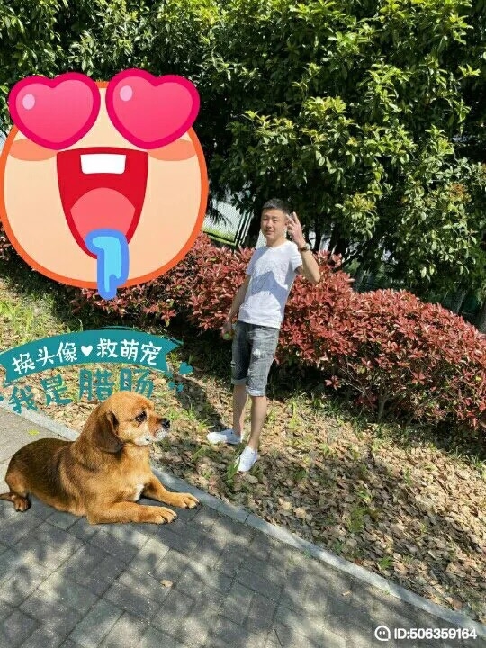 我若不坚强谁替我勇敢的第一张照片--日照相亲服务中心