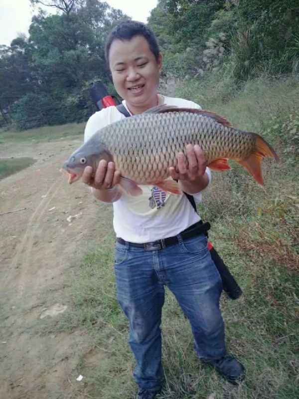 迷路的男人的第一张照片--日照相亲服务中心