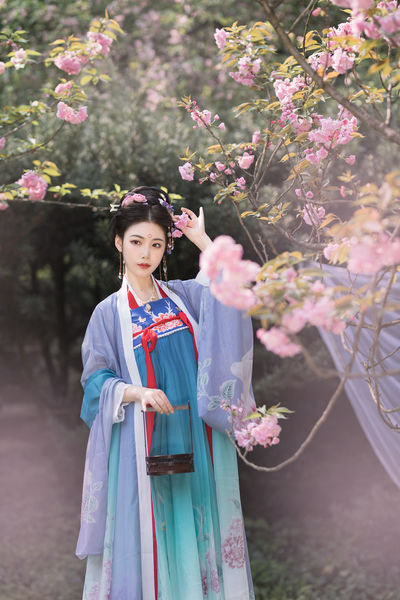 桃姐高清在线