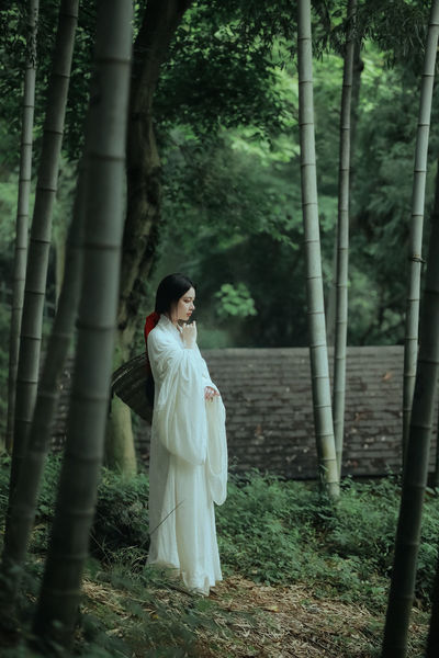 中国jazz在线视频观看