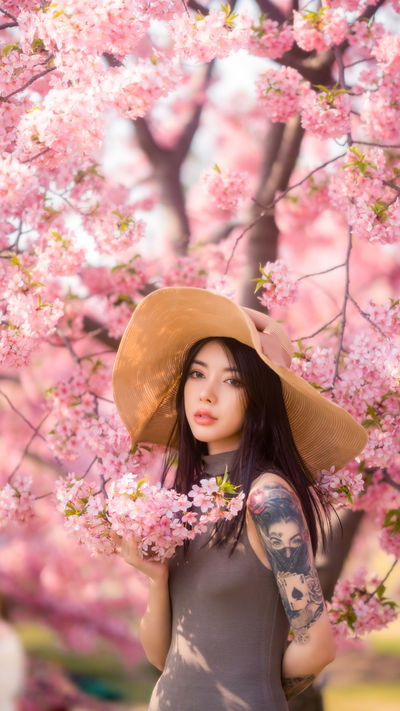 都铎王朝未删减版在线看